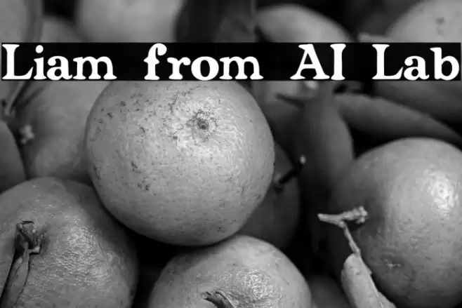 Liam from AI Lab Fuentes examples