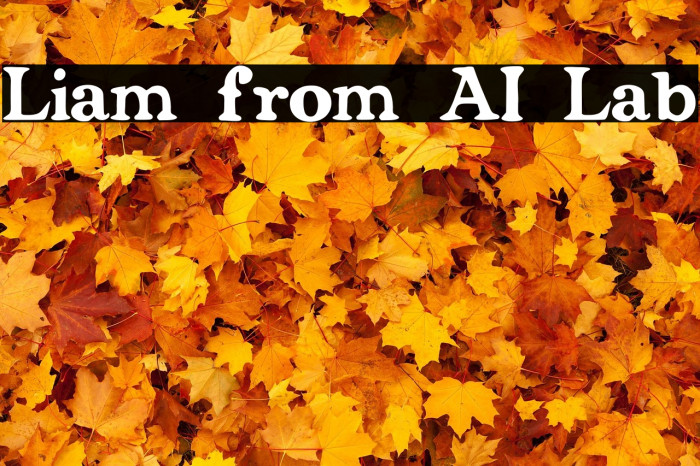 Liam from AI Lab Example 3