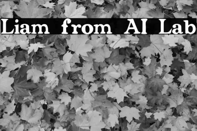 Liam from AI Lab Fuentes examples