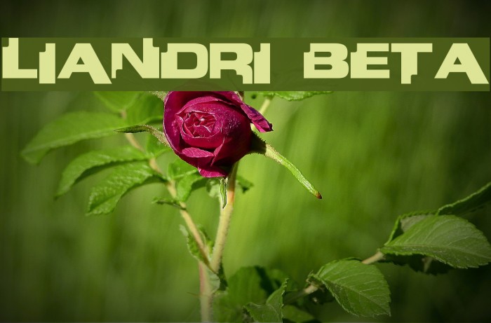 Liandri BETA Font examples