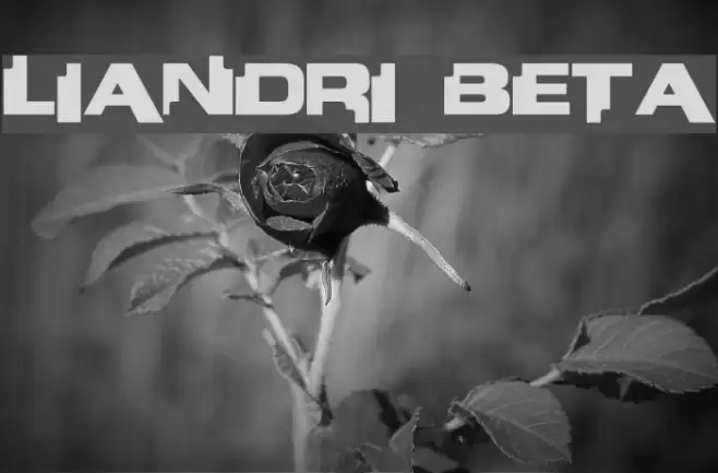 Liandri BETA Fonte examples