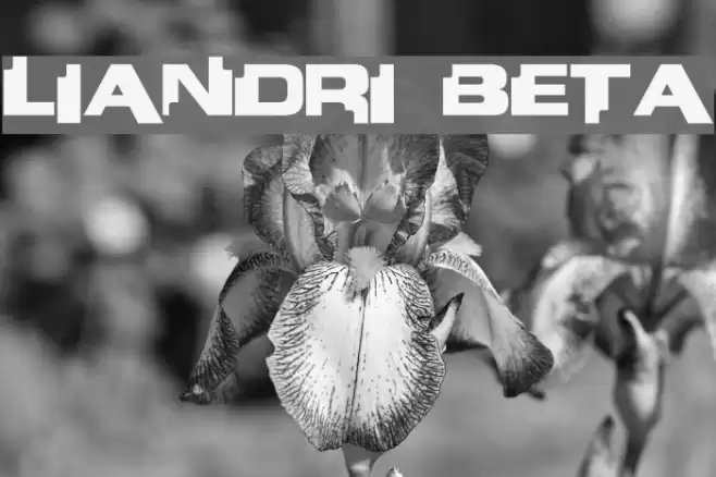 Liandri BETA Fonte examples