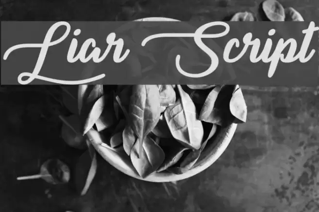Liar Script Font examples
