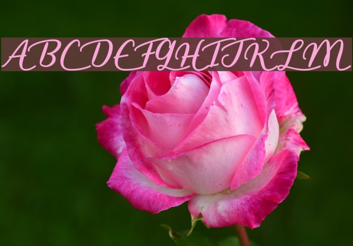 LiarScript Font examples