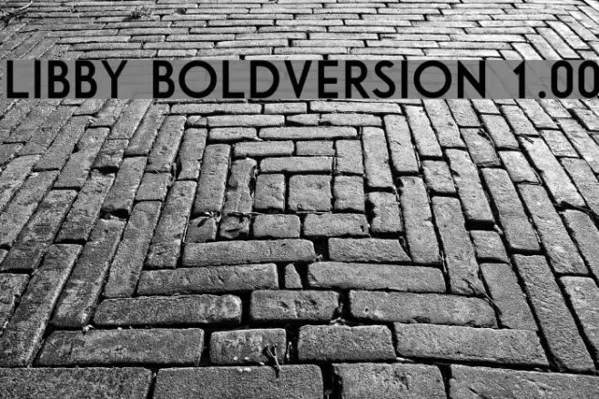 Libby Bold:Version 1.00 Example 1