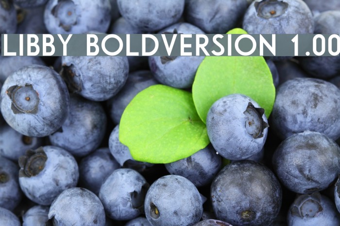 Libby Bold:Version 1.00 Font examples