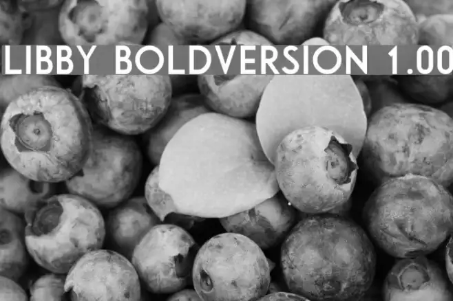 Libby Bold:Version 1.00 Example 3