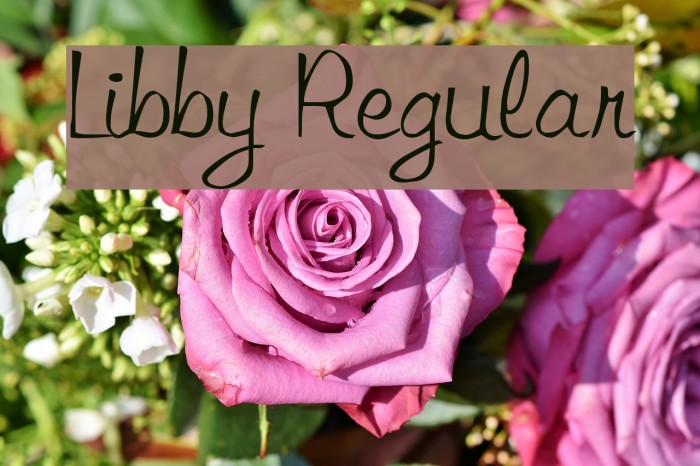 Libby Regular Font examples
