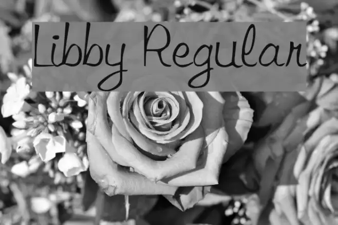Libby Regular Example 1
