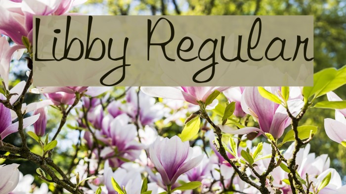 Libby Regular Font examples