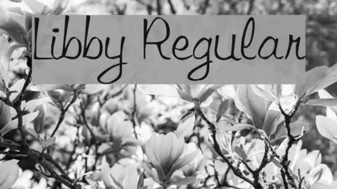 Libby Regular Example 3