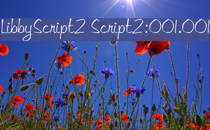 LibbyScript2 Script2:001.001 Font examples