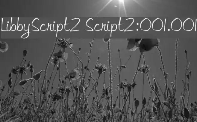 LibbyScript2 Script2:001.001 Font examples
