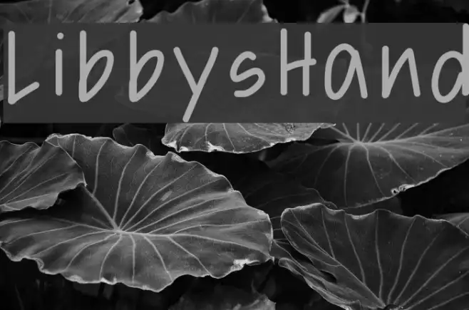 LibbysHand Example 2
