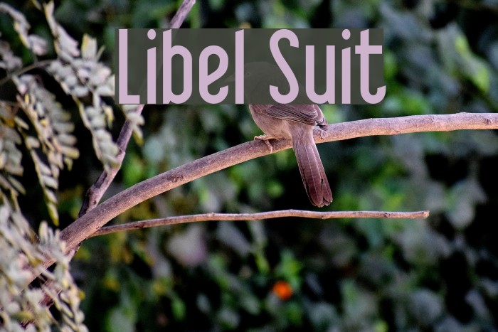 Libel Suit Font examples