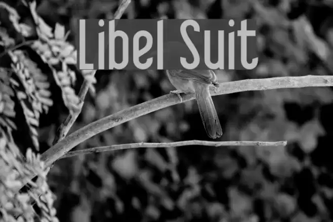 Libel Suit Шрифта examples