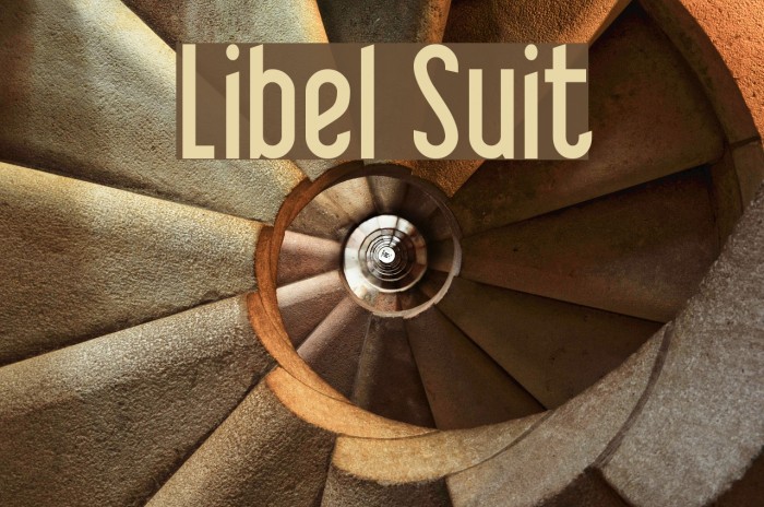 Libel Suit Font examples