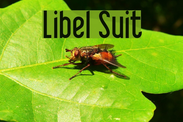 Libel Suit Font examples