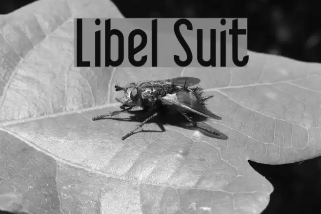 Libel Suit Шрифта examples