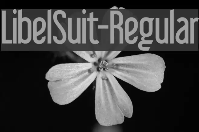 LibelSuit-Regular Example 2