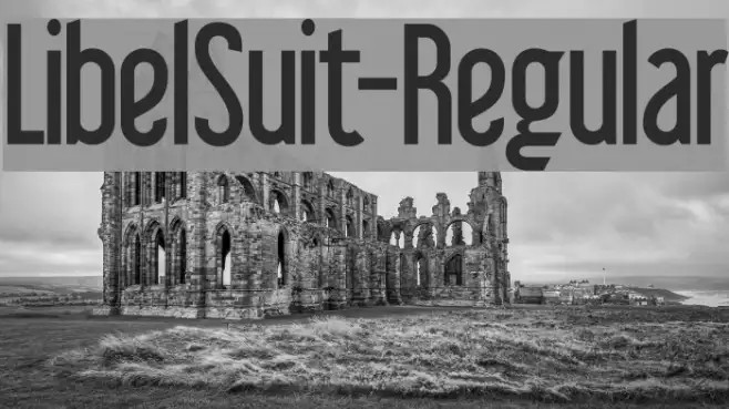LibelSuit-Regular Example 3