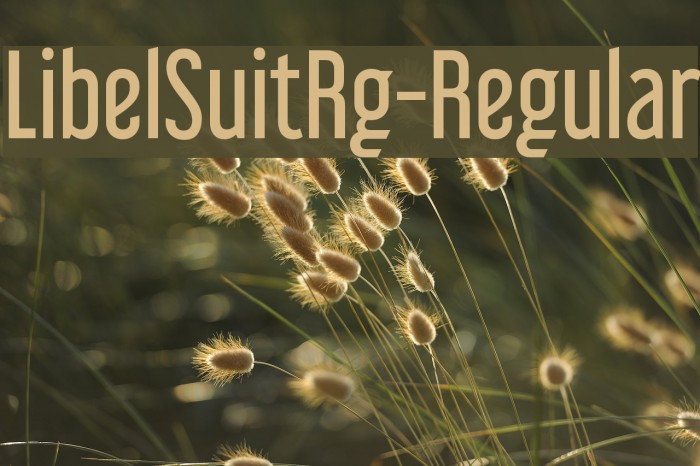 LibelSuitRg-Regular Font examples
