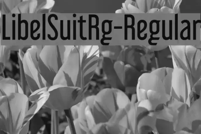 LibelSuitRg-Regular Font examples