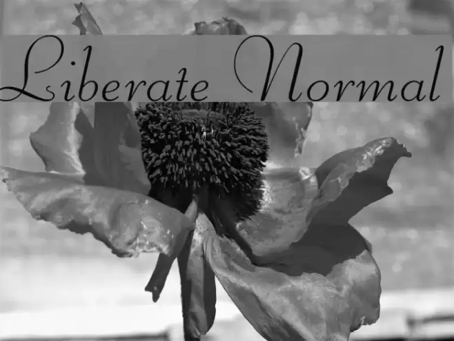 Liberate Normal フォント examples