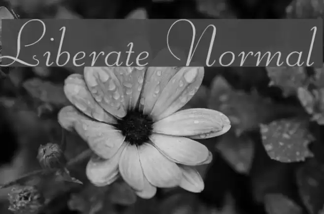 Liberate Normal フォント examples
