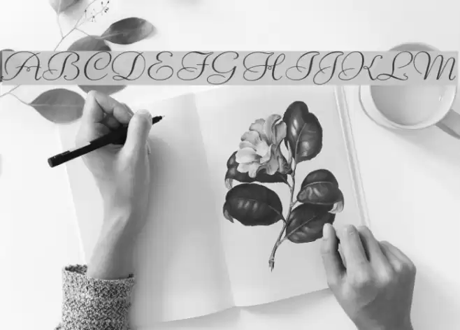 Liberate Wide Normal Font examples