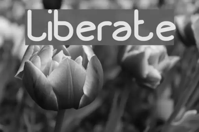 Liberate Font examples