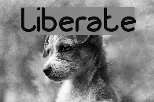 Liberate Font examples