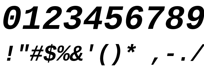 Liberation Mono Bold Italic Font OTHER CHARS
