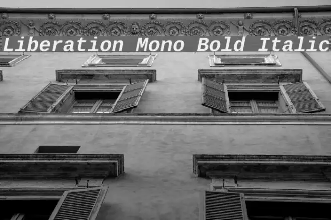 Liberation Mono Bold Italic Example 1