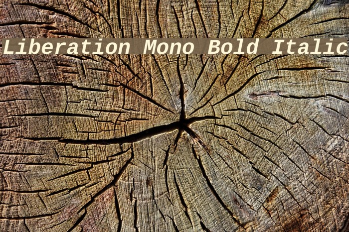 Liberation Mono Bold Italic Font examples
