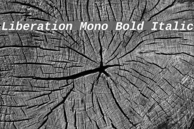 Liberation Mono Bold Italic Example 2