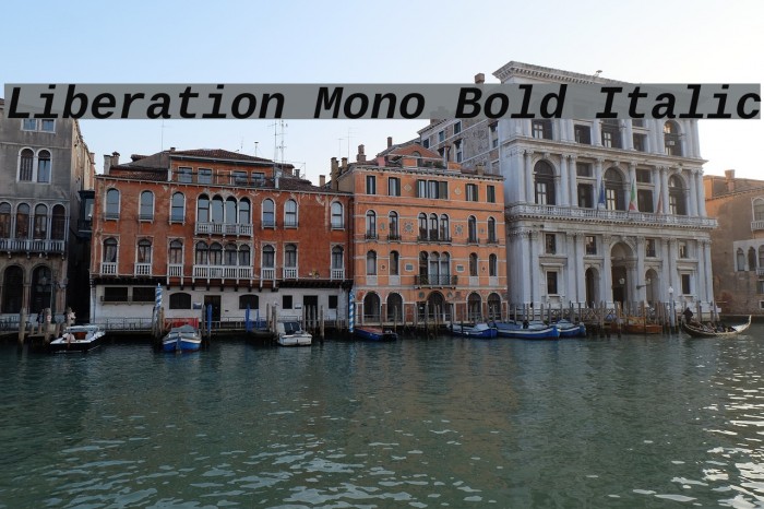 Liberation Mono Bold Italic Font examples