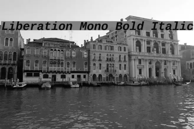 Liberation Mono Bold Italic Example 3