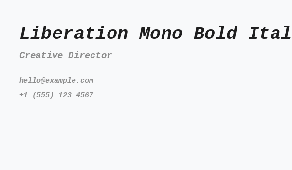 Liberation Mono Bold Italic Business Card