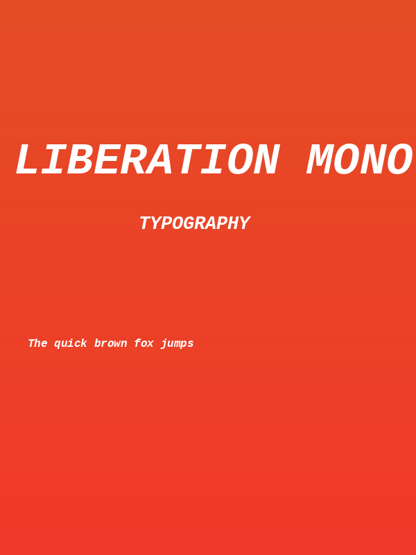 Liberation Mono Bold Italic Poster