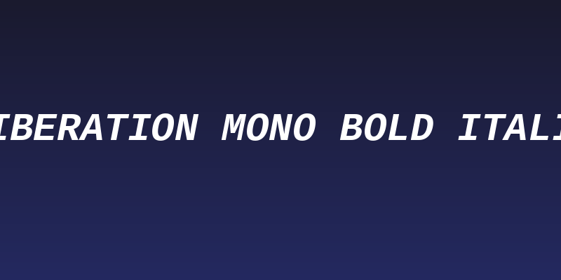 Liberation Mono Bold Italic Social Header
