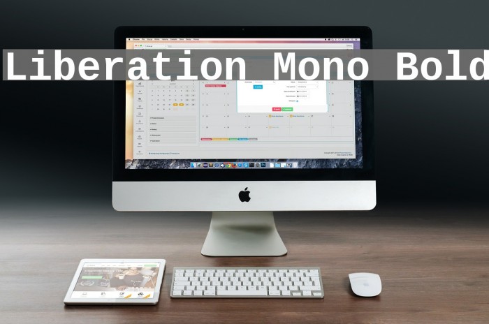Liberation Mono Bold Font examples