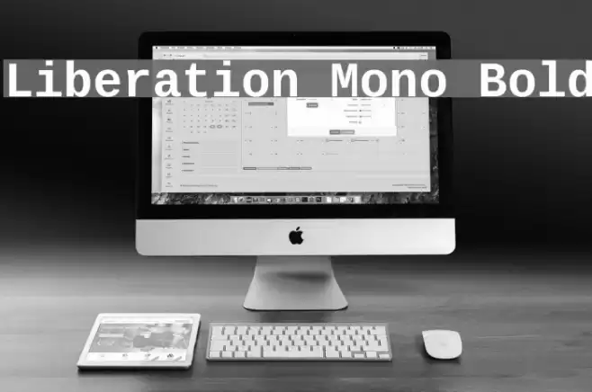 Liberation Mono Bold Caratteri examples