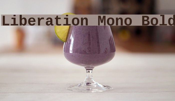 Liberation Mono Bold Font examples