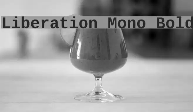 Liberation Mono Bold Caratteri examples