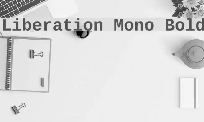 Liberation Mono Bold Caratteri examples