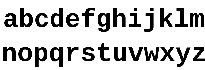 Liberation Mono Bold Font LOWERCASE