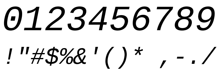 Liberation Mono Italic Font OTHER CHARS