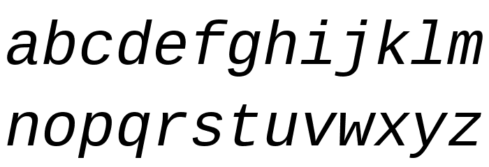 Liberation Mono Italic Font LOWERCASE