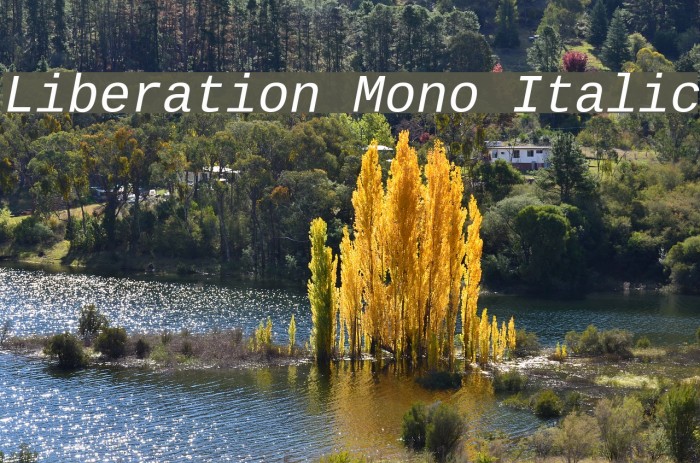 Liberation Mono Italic Font examples